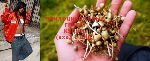 MESCALINE Алзамай